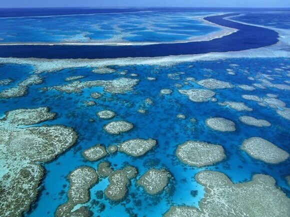 australia_Great_Barrier_Reef(flickr_actaacta)