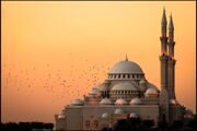443651-photography-nature-landscape-mosque-architecture-Islam-flying-birds-sunset-lights-religion-India